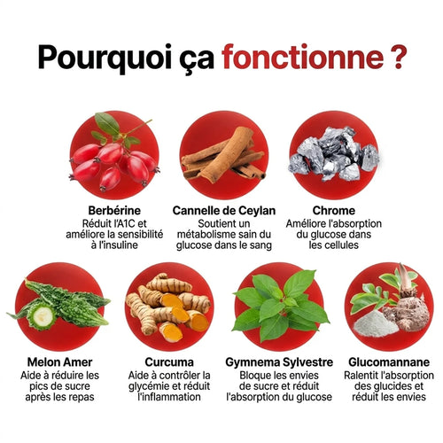 Glycéa | 7 en 1 Concentré Glycémie